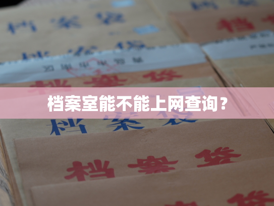 档案室能不能上网查询？