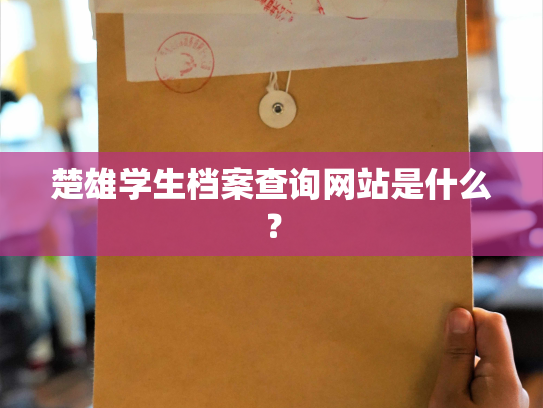 楚雄学生档案查询网站是什么？