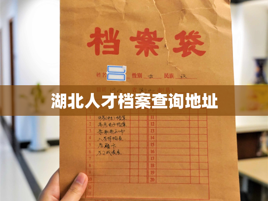 湖北人才档案查询地址