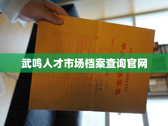 武鸣人才市场档案查询官网