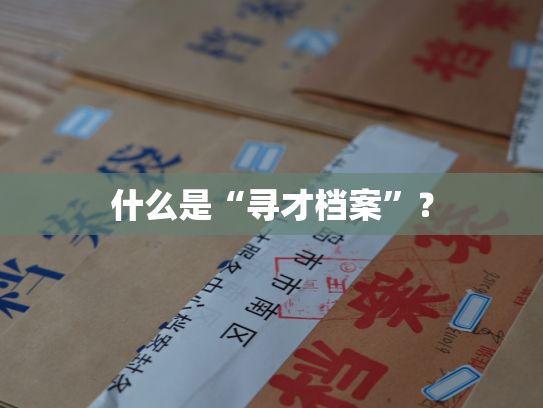 什么是“寻才档案”？