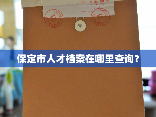 保定市人才档案在哪里查询？