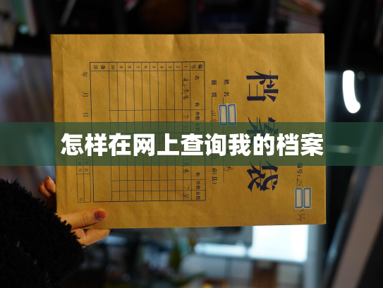 怎样在网上查询我的档案