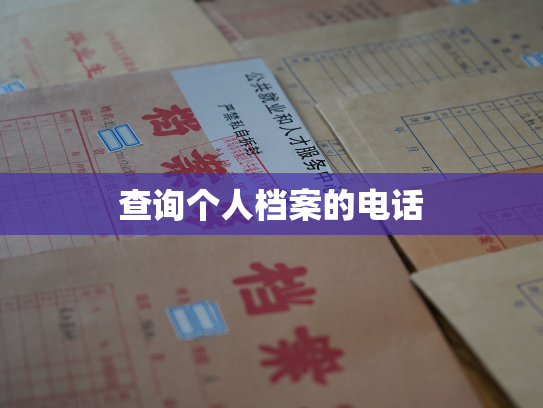 查询个人档案的电话