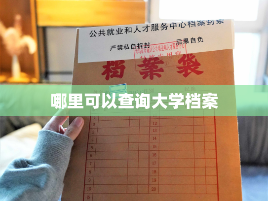 哪里可以查询大学档案
