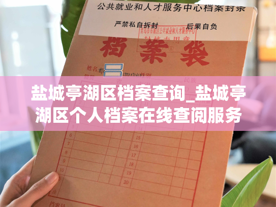 盐城亭湖区档案查询_盐城亭湖区个人档案在线查阅服务