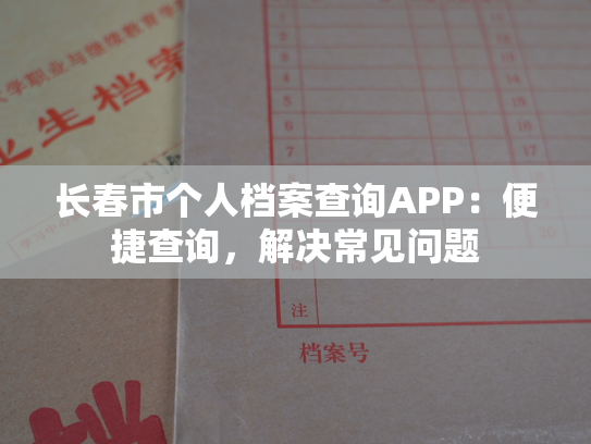 长春市个人档案查询APP：便捷查询，解决常见问题