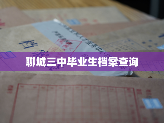 聊城三中毕业生档案查询