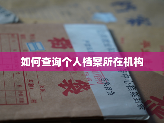 如何查询个人档案所在机构