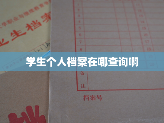 学生个人档案在哪查询啊