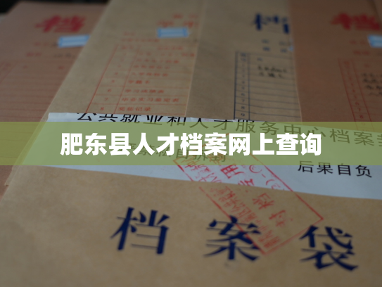 肥东县人才档案网上查询