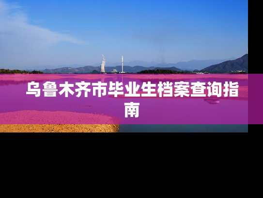 乌鲁木齐市毕业生档案查询指南