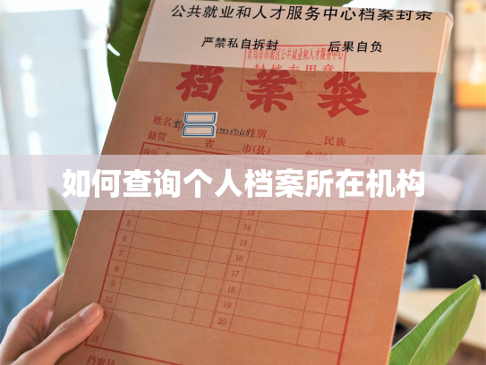 如何查询个人档案所在机构