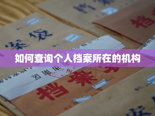 如何查询个人档案所在的机构