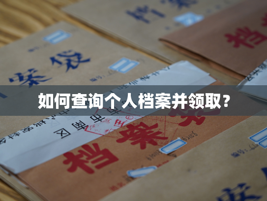 如何查询个人档案并领取？