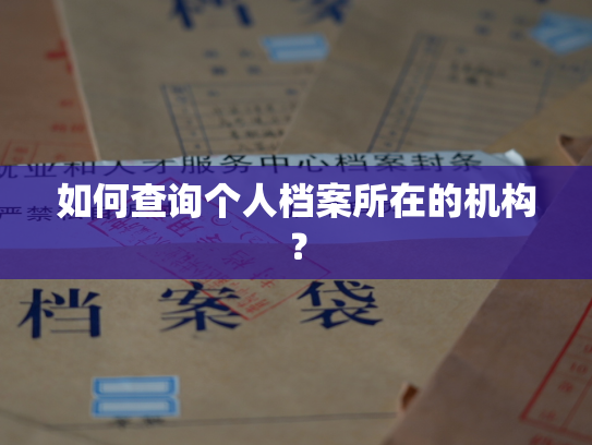 如何查询个人档案所在的机构？