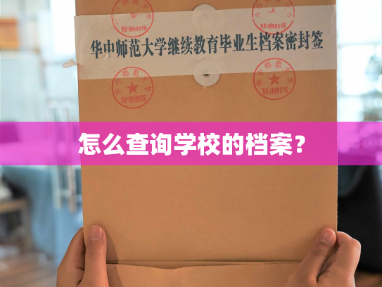 怎么查询学校的档案？