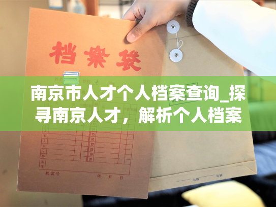 南京市人才个人档案查询_探寻南京人才，解析个人档案
