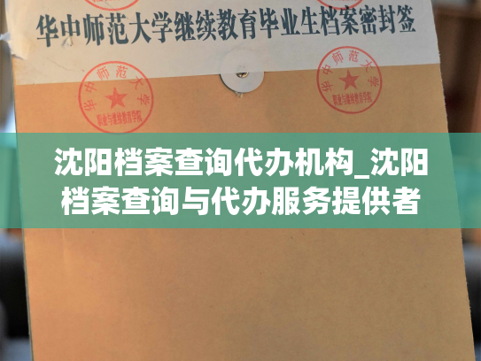 沈阳档案查询代办机构_沈阳档案查询与代办服务提供者