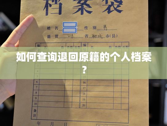 如何查询退回原籍的个人档案？