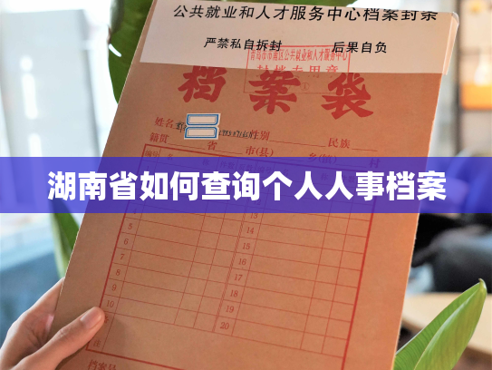 湖南省如何查询个人人事档案