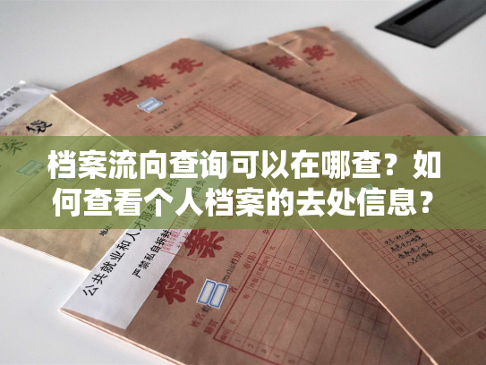 档案流向查询可以在哪查？如何查看个人档案的去处信息？