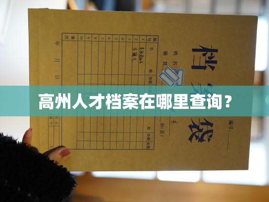 高州人才档案在哪里查询？