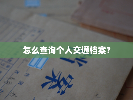 怎么查询个人交通档案？