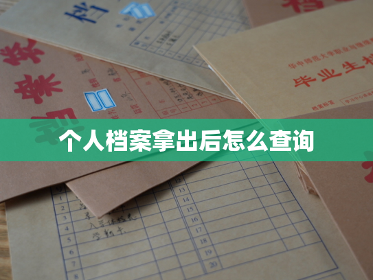个人档案拿出后怎么查询