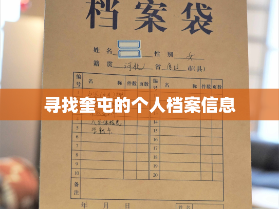 寻找奎屯的个人档案信息