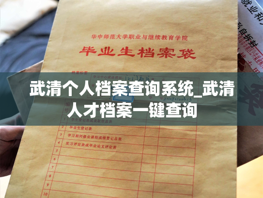 武清个人档案查询系统_武清人才档案一键查询