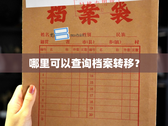 哪里可以查询档案转移？