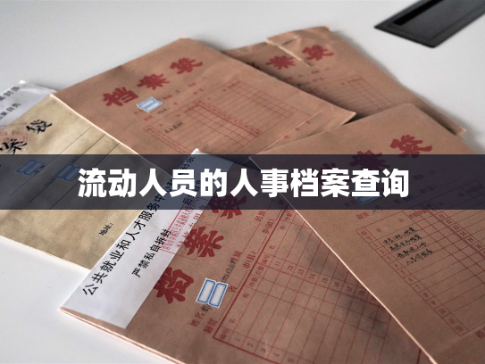 流动人员的人事档案查询