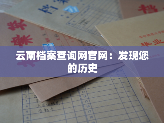 云南档案查询网官网：发现您的历史