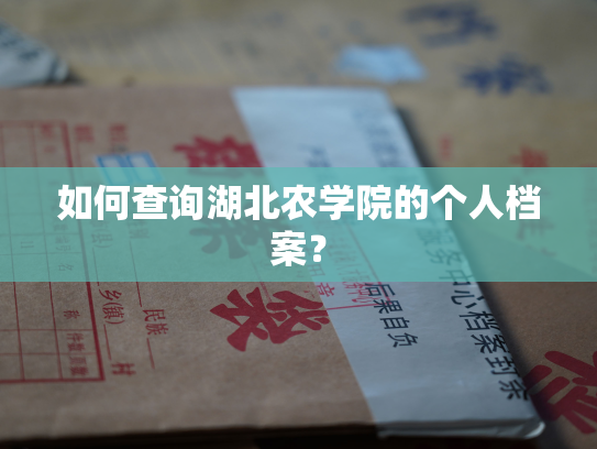 如何查询湖北农学院的个人档案？