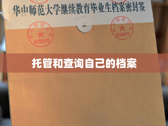 托管和查询自己的档案