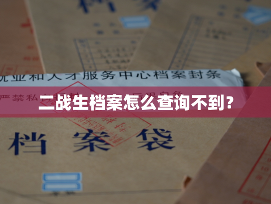 二战生档案怎么查询不到？