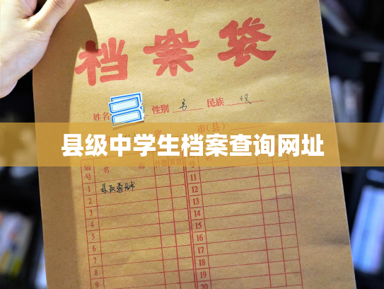 县级中学生档案查询网址