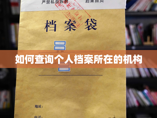 如何查询个人档案所在的机构
