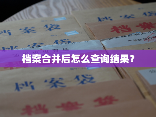 档案合并后怎么查询结果？