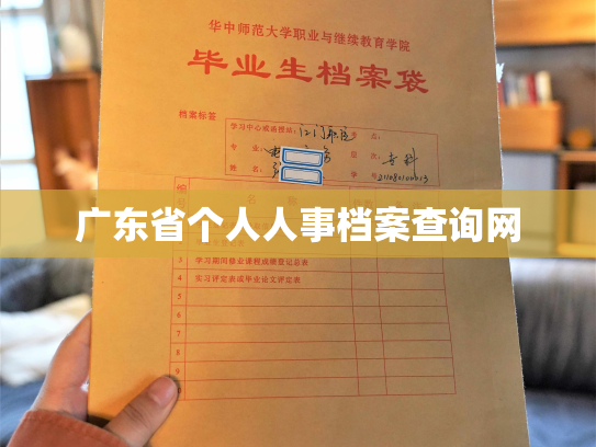 广东省个人人事档案查询网