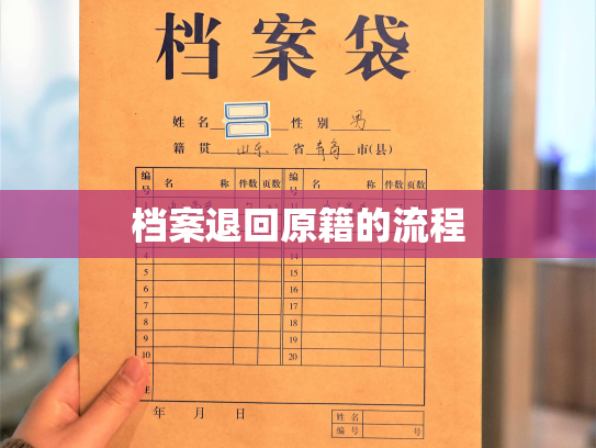 档案退回原籍的流程