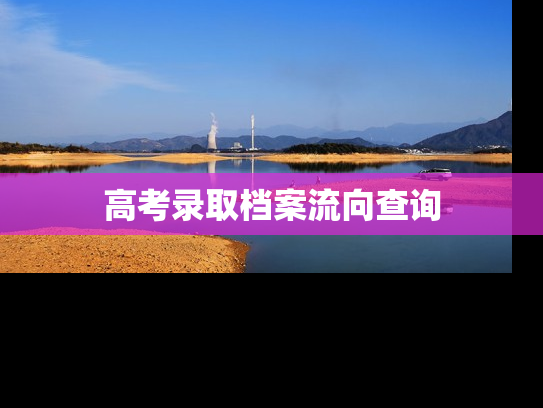 高考录取档案流向查询