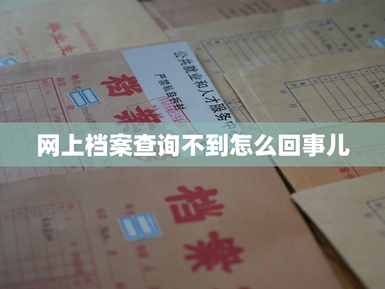 网上档案查询不到怎么回事儿