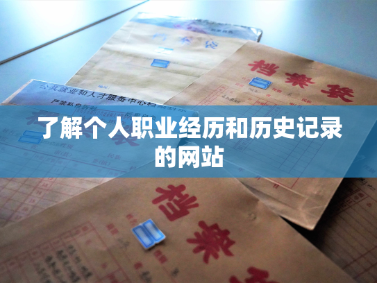 了解个人职业经历和历史记录的网站
