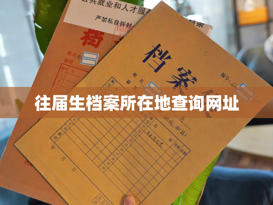 往届生档案所在地查询网址