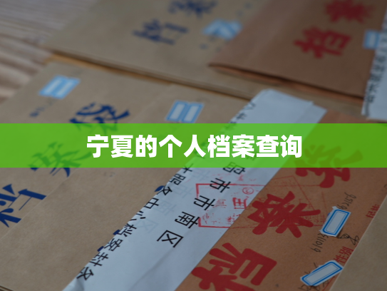 宁夏的个人档案查询