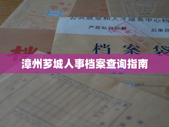 漳州芗城人事档案查询指南