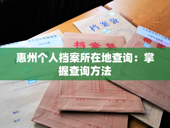 惠州个人档案所在地查询：掌握查询方法