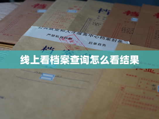 线上看档案查询怎么看结果